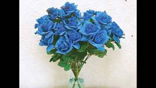 Bend Sinister - Things Will Get Better