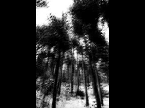 Praslesh - Libermol 3