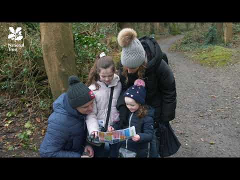 Discover the Secret Shore trail at Castle Ward with Cool FM's Pete Snodden and family