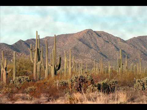 J.J. Cale - Santa Cruz (rare)