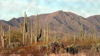 J.J. Cale - Santa Cruz (rare)