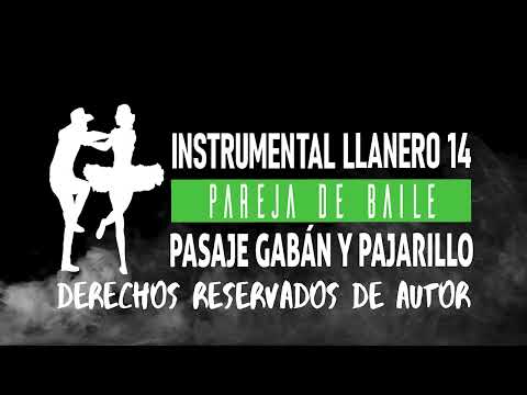 INSTRUMENTAL LLANERO 14 - PAREJA DE BAILE DEL JOROPO PASAJE GABÁN Y PAJARILLO CON BANDOLA BUENISIMO