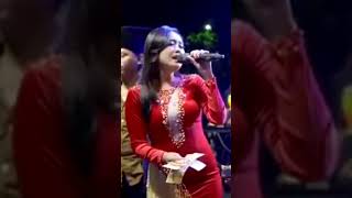 Download lagu MATAHARIKU _ Nurma Paejah _ Om Adella mp3