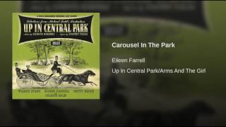 Carousel In The Park