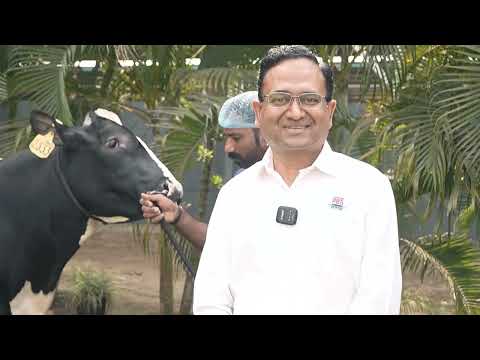 एबीएस इंडिया ने नया एचएफ बुल ऑस्कर लॉन्च किया | उच्च दूध उत्पादन, मजबूत प्रजनन क्षमता और लाभदायक