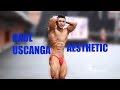 Trabajo duro por un cuerpo estetico