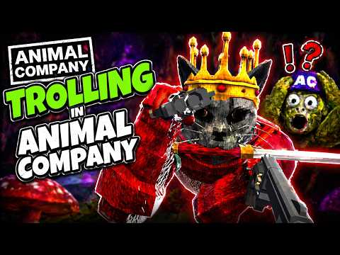 I became the most hated player in Animal Company