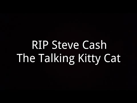 RIP Steve Cash The Talking Kitty Cat 🌈 #RIPSteveCash