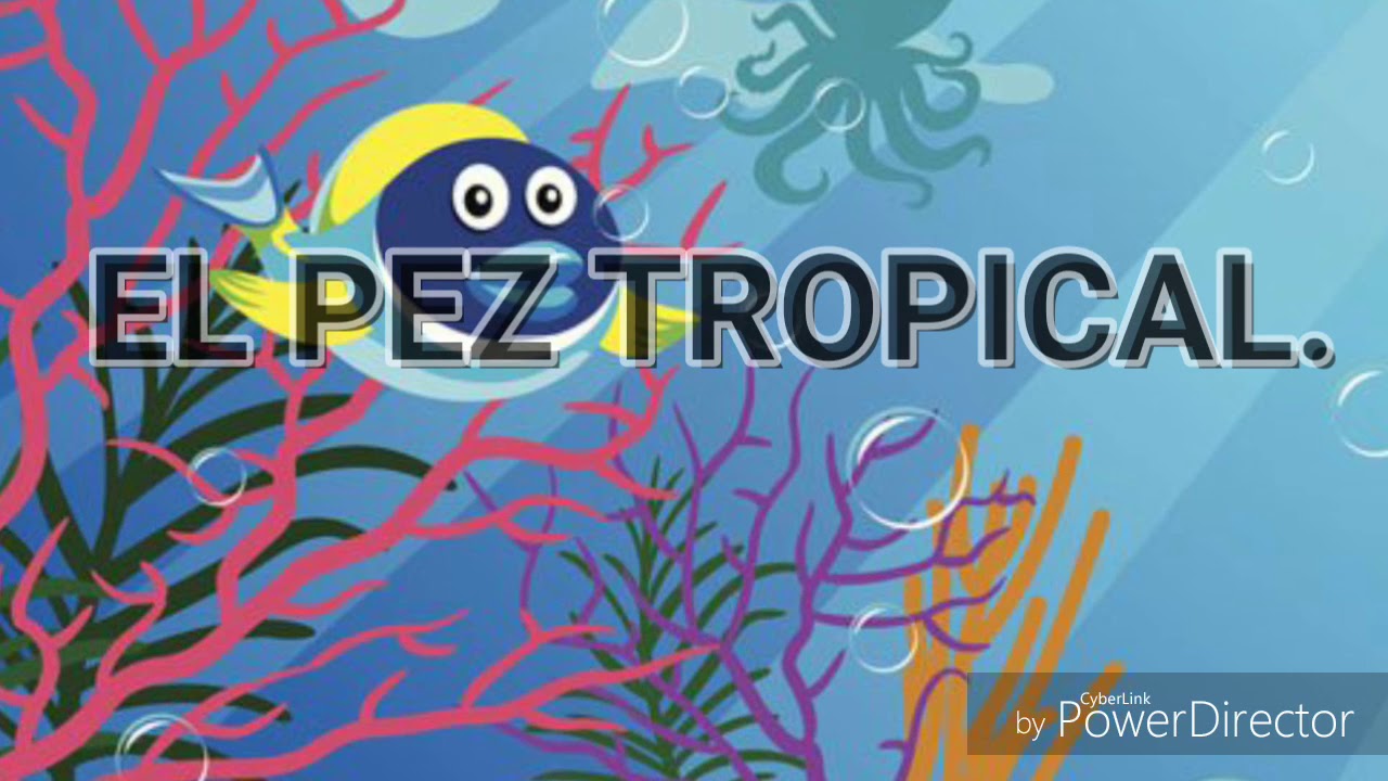 El pez tropica. Un poema sobre las emociones - Marisa Alon