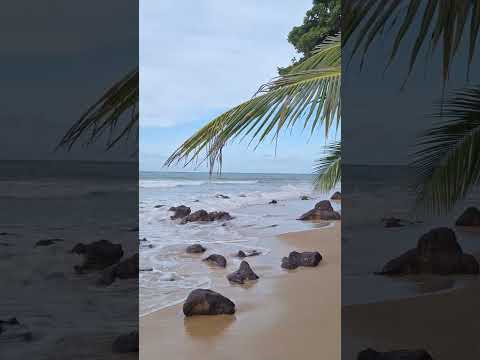 Tibau do Sul/RN #praia #beach #paraíso #nordeste #riograndedonorte #Brasil #wave #onda #mar #oceano