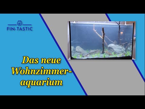 Das neue Wohnzimmeraquarium!