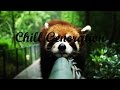LANY - Walk Away (Hansolo Remix) 
