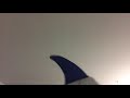 Sesame Streer Pearl White Teeth Shark Song