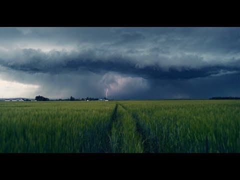 Phantom VEO 990S 4K | 1000 FPS Slow Motion Camera Rental