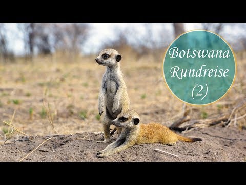 Weltreise • Botswana - Roadtrip auf eigene Faust (2) • VLog #002
