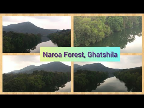 Naroa Forest||Ghatshila Tour||Jharkhand