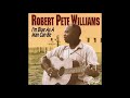 Robert Pete Williams - I'm Blue As A Man Can Be