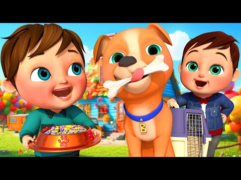 Le Chien Bingo et Ses Amis - Comptines et chansons pour enfants - Baby Angel LE Français