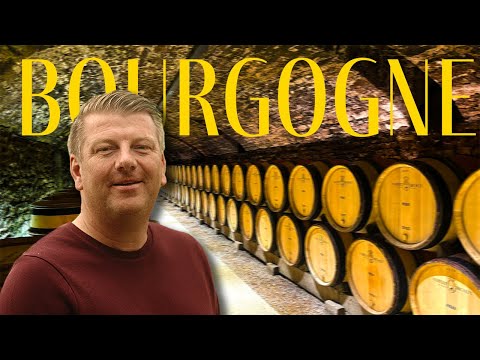 Kopen we een wijnvat van 500K tijdens onze droomreis door de Bourgogne?