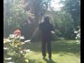 Ninja Garden