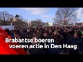 Brabantse boeren demonstreren in Den Haag