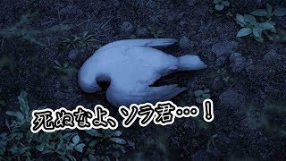 【実況？】未来ラジオと人工鳩　製品版【PART8】