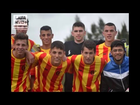 Resumen temporada 2015