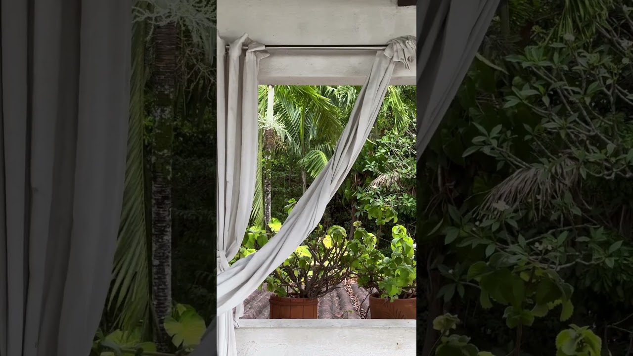 YouTube Short thumbnail