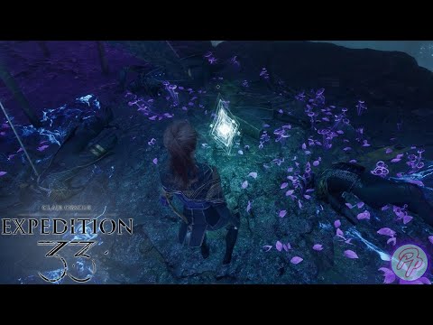 Expedition 66 Journal Location | Clair Obscur Expedition 33