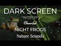 Tree Frog Noises at Night | Dark Screen 10 Hours