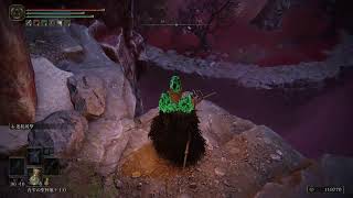 魔術を極めたいエルデンリング[041]