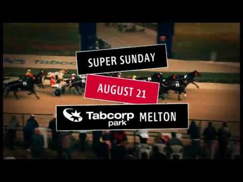 Australasian Breeders Crown (2011), Sunday August 21