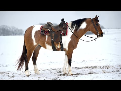 JKS Samwise Le Courageux