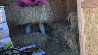 Money Man “Expression”