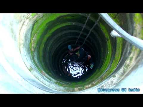 Blue cross of India rescues caught on tape