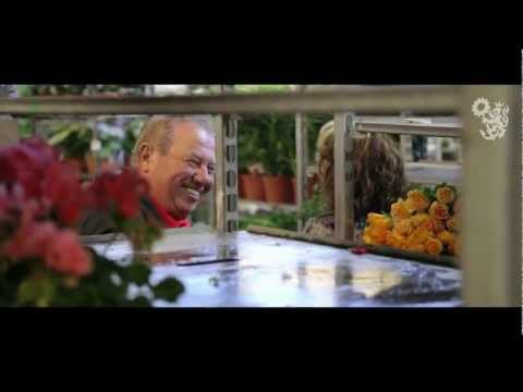 Blumengroßmarkt Düsseldorf: Regionale Frische für Beet und Balkon