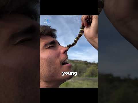 #slowed