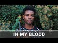 Shawn Mendes | In My Blood | Jeremy Green | Viola Cover