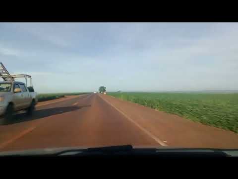 Anel viário de Santa Helena de Goiás e GO 210,passei por 4 cateto atropelados em 31/12/2025 vídeo 1