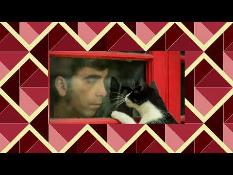 Pedropiedra ft. Álvaro Henríquez - Hipnotizada 🕸 (slowed and reverb)