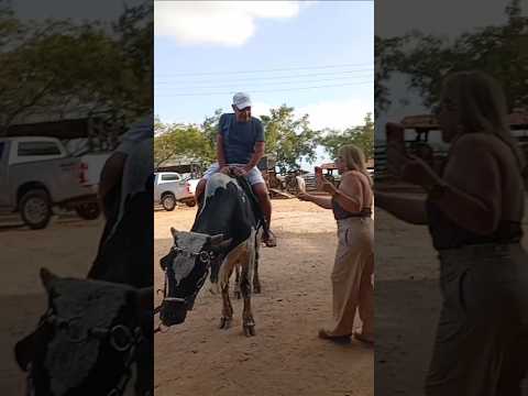 Cavalgada Em Passira Pernambuco