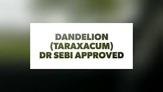 Dandelions Taraxacum Dr. Sebi Approved