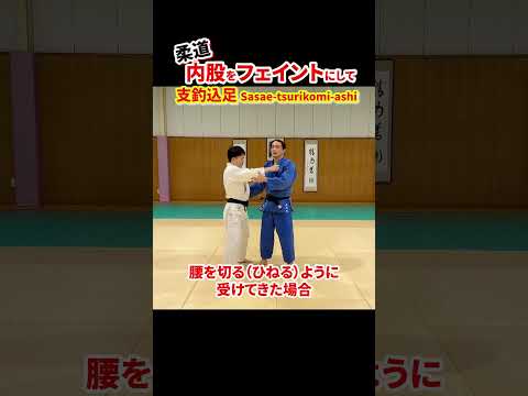 【内股を利用して投げる③】内股をフェイントに支釣込足で投げる方法　#柔道 #judo #投技 #立技 #内股 #フェイント #支釣込足 #shorts