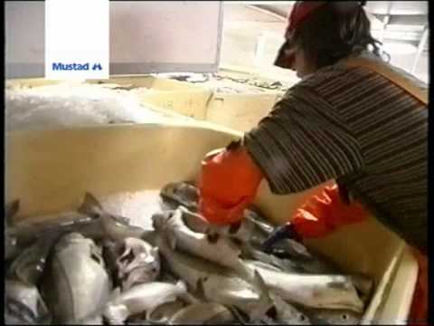 From seabed to plate