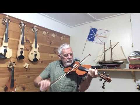 4/4 Violin + leigh + handmade+fretted+electric / semi acoustic. image 7
