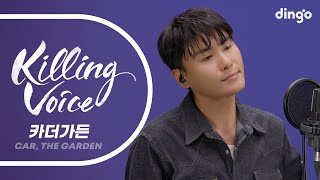[影音] Dingo Killing Voice - Car, the garden