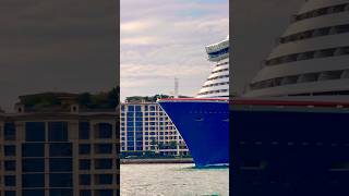 Carnival Celebration 🛳️ #share #like #subscribe #comment #cruise #vacation #shortvideo #shortsvideo