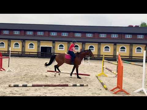 Клавиши  🙌