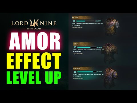 LordNine: How to Level Up Armor Effect (x100 Times Faster)!