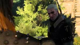 The Witcher 3 - Cahir Mawr Dyffyn Aep Ceallach reference